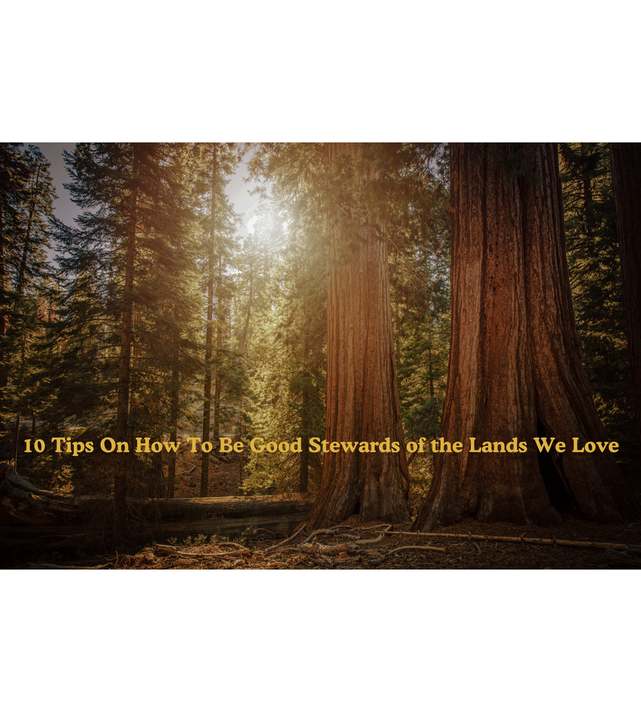 10 Tips On How To Be Good Stewards of the Lands We Love