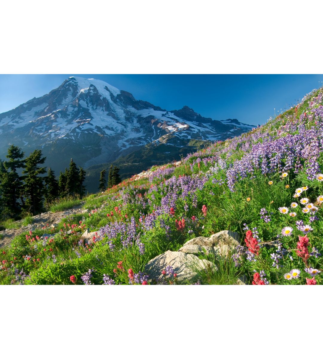 5 Springtime Outdoor Activities to Embrace the Season – Life Outdoors Group